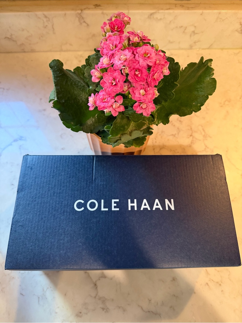 NIB Cole Haan Women's Blush Pink Leather Low Heel Loafers - Picture 4 of 14
